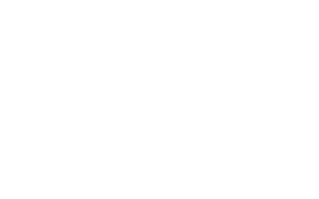 Larte Adv-Logo-White-Website